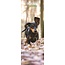 Magnet & Steel Dachshund Calendar 2025 Slimline