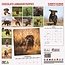 Calendario dei cuccioli di Labrador Retriever Brown 2025