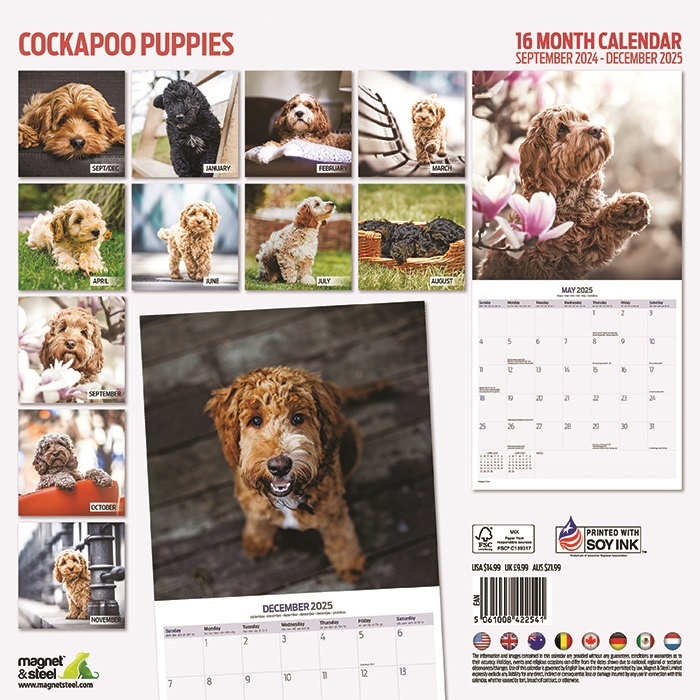 Buy Cockapoo Calendar 2025 Order easily online Kalenderwinkel.nl
