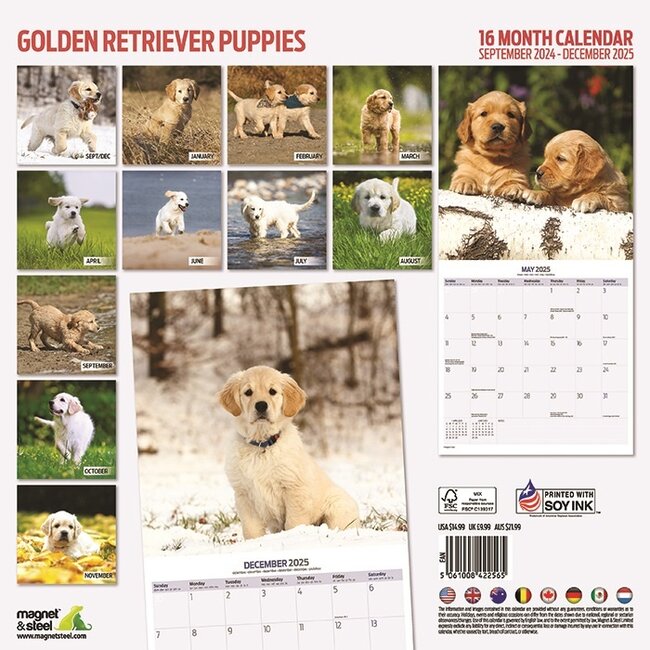 Golden Retriever Puppy Calendar 2025 