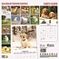 Golden Retriever Kalender Puppies 2025