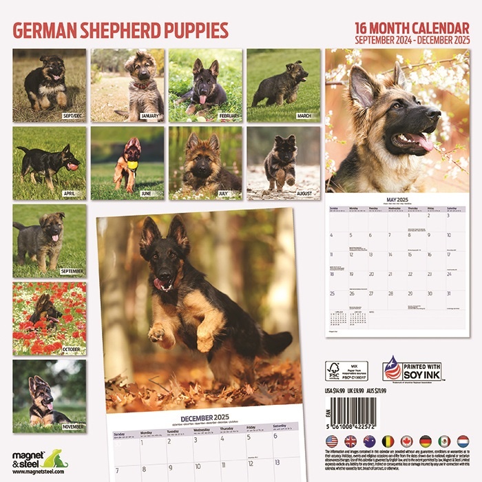 Buying German Shepherd Puppies Calendar 2025 Order easily online