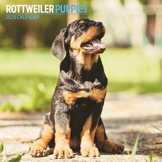 Magnet & Steel Calendario dei cuccioli di rottweiler 2025