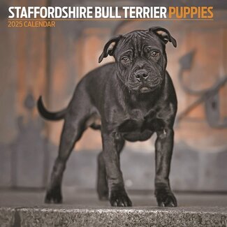 Magnet & Steel Staffordshire Bull Terrier-Welpen Kalender 2025