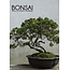 CalendarsRUs Bonsai-Kalender 2025