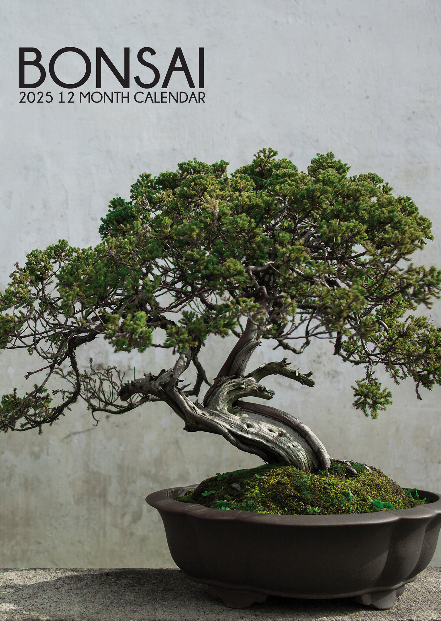 Bonsai Kalender 2025