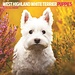 Magnet & Steel West Highland White Terrier Puppies Calendar 2025