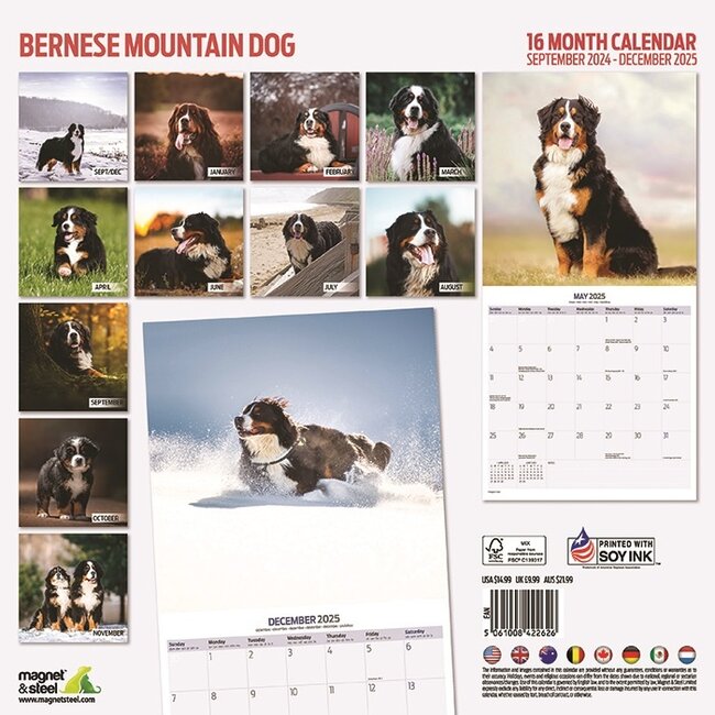 Buy Bernese Mountain Dog Calendar 2025 order online easily