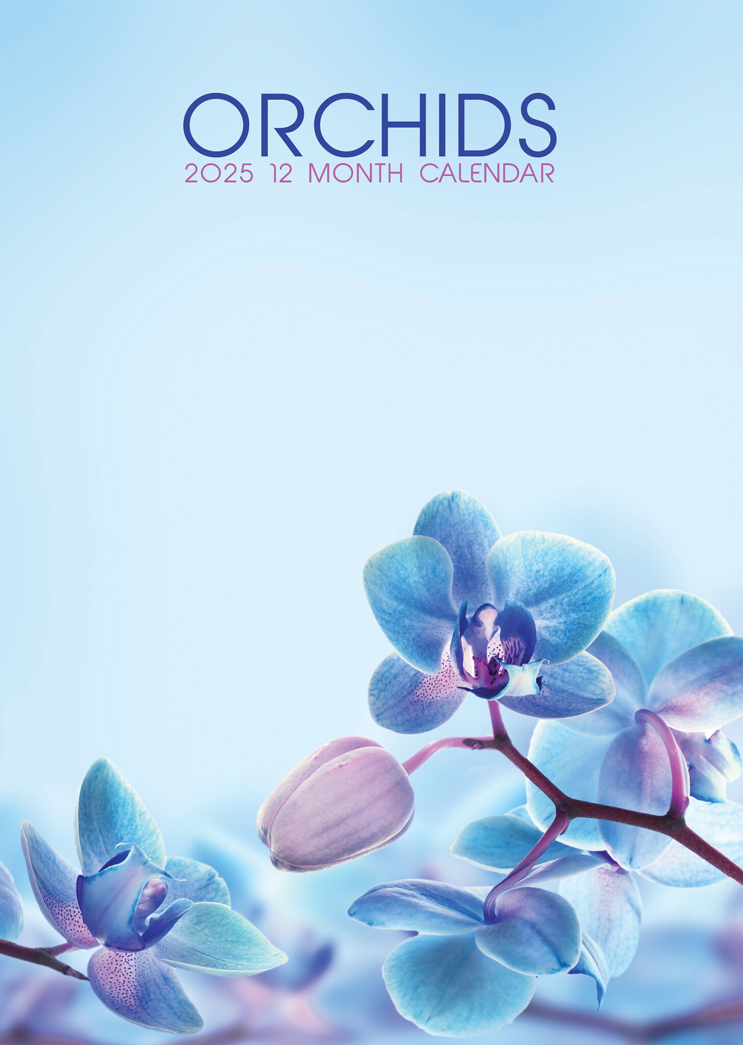 Orchid Calendar 2025? Order easily and quickly Online. Kalenderwinkel.nl