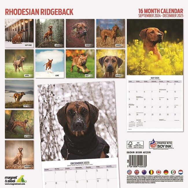 Buying Rhodesian Ridgeback Calendar 2025 Order easily online
