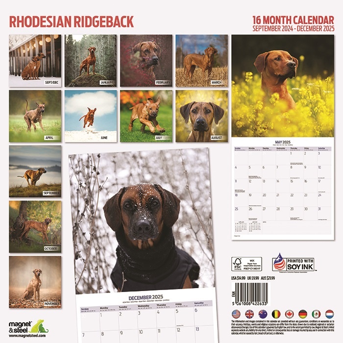 Buying Rhodesian Ridgeback Calendar 2025 Order easily online