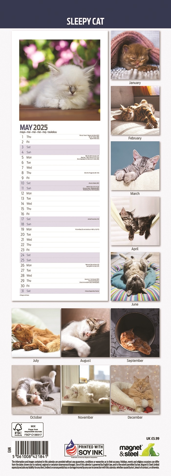 Buying Sleepy Cat Calendar 2025 Slimline? Order easily online