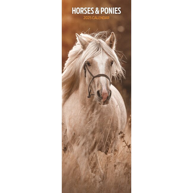 Horses and Ponies Calendar 2025 Slimline