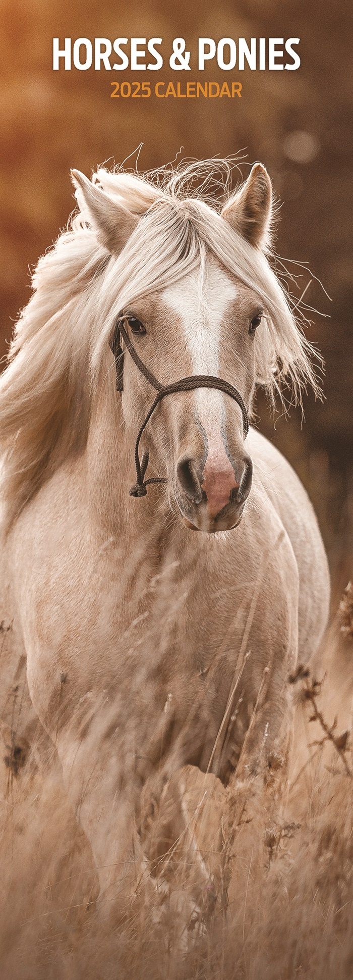 Paarden en Ponies Kalender 2025 Slimline