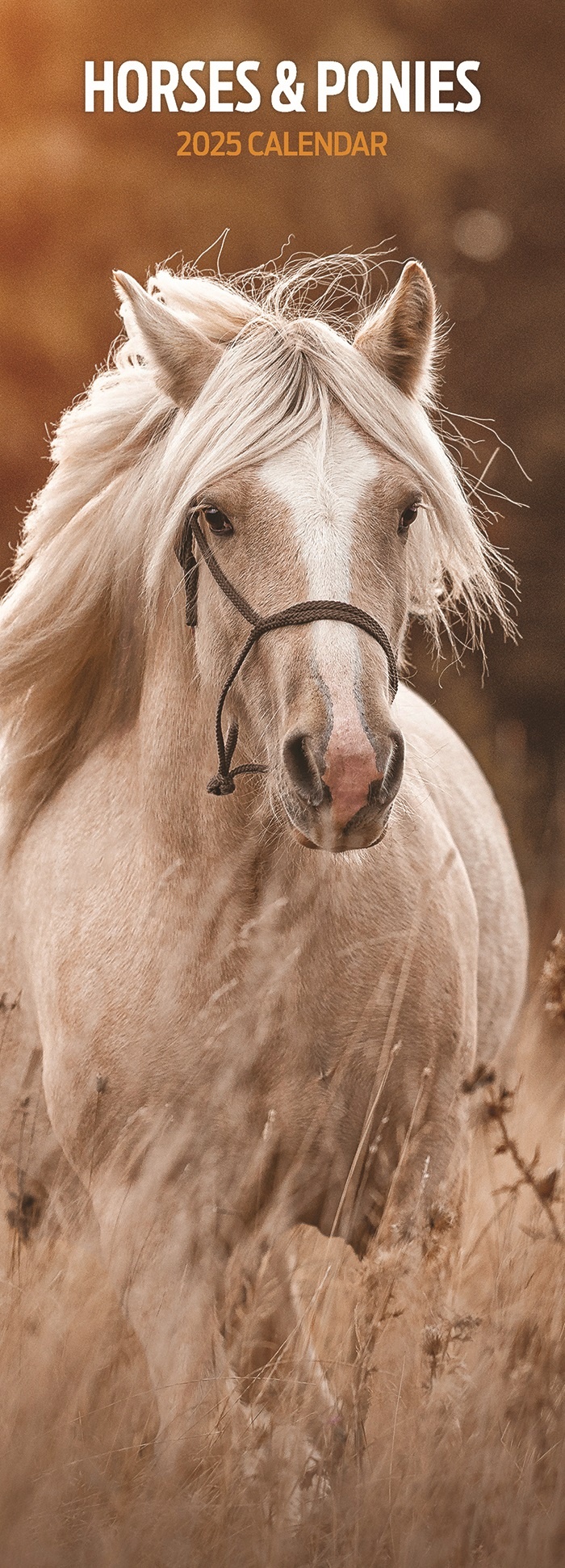Buying Horses and Ponies Calendar 2025 Slimline? Order easily Kalenderwinkel.nl