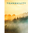 Tranquility Calendar 2025