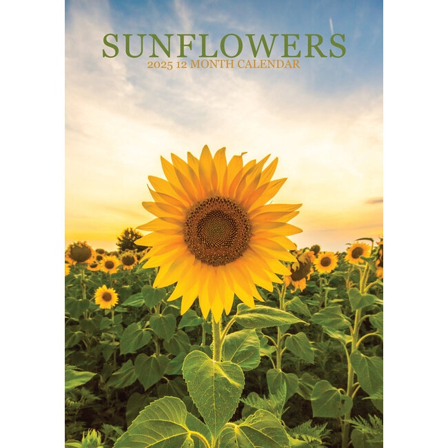 Sonnenblumen Kalender 2025