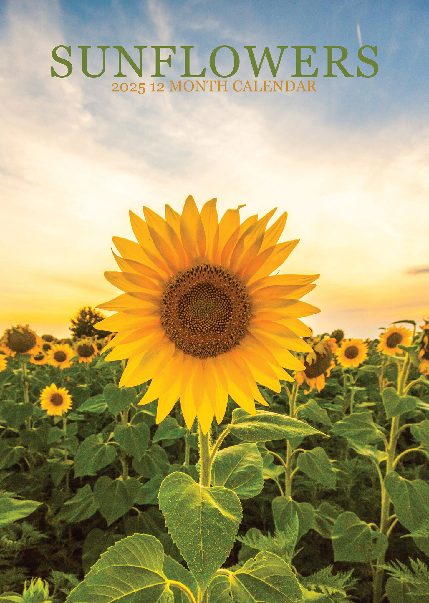 Sunflowers Kalender 2025