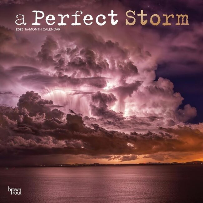 A Perfect Storm Calendar 2025