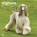 Browntrout Calendario del cane afgano 2025