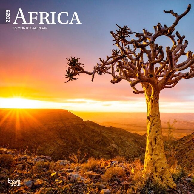 Browntrout Afrika-Kalender 2025