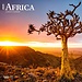 Browntrout Calendario África 2025