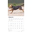 Airedale Terrier Calendar 2025