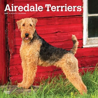 Browntrout Airedale Terrier Calendar 2025