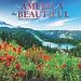 Browntrout America the Beautiful Kalender 2025