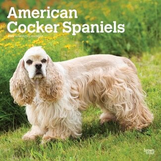Browntrout Calendario del Cocker Spaniel Americano 2025