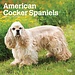 Browntrout American Cocker Spaniel Calendar 2025