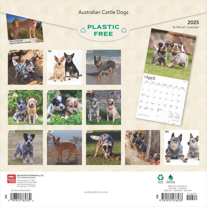 Australian Cattle Dog Calendar 2025 Order online easily
