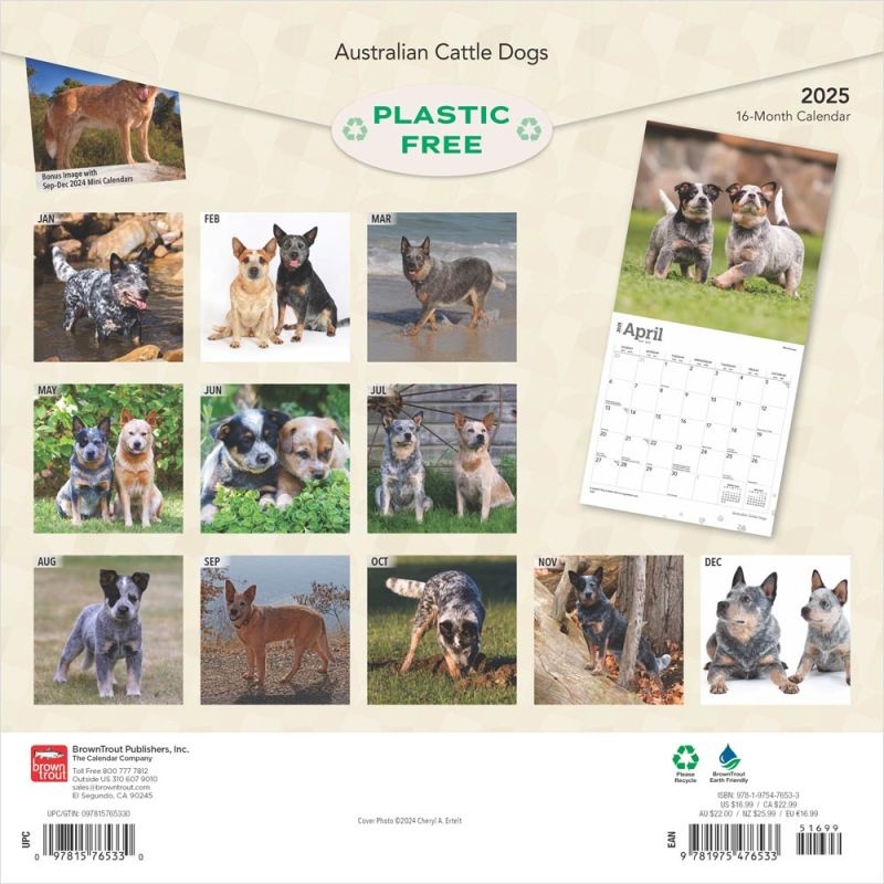 Australian Cattle Dog Kalender 2025 Bestel eenvoudig online