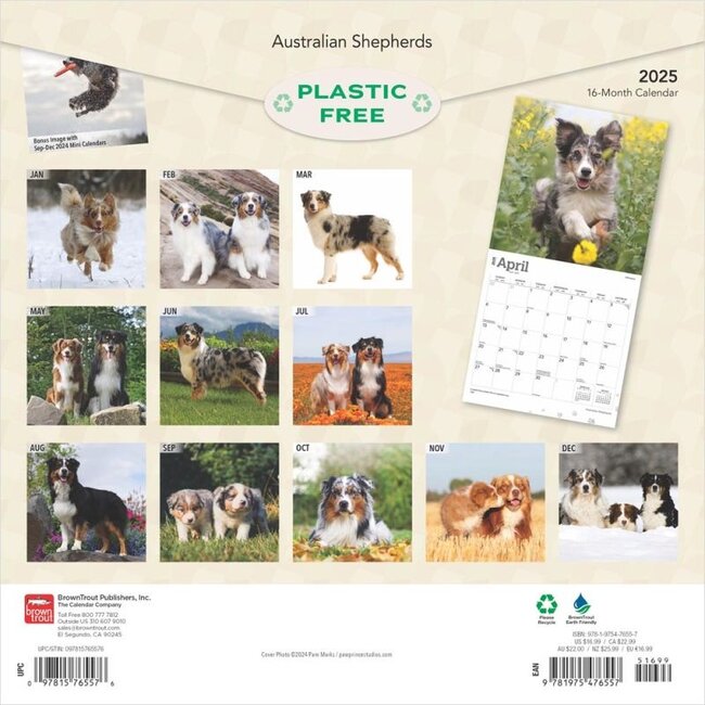 Australian Shepherd Kalender 2025 Bestel eenvoudig online Kalenderwinkel.nl