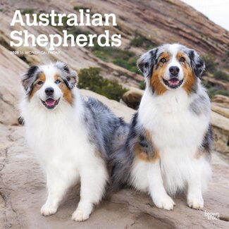 Browntrout Australian Shepherd Calendar 2025