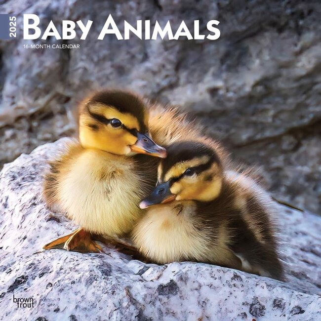 Browntrout Baby Animals Calendar 2025
