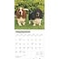 Basset Hound Kalender 2025