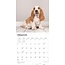 Basset Hound Kalender 2025