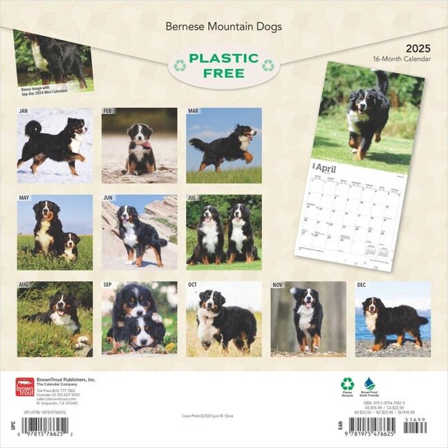 Bernese Mountain Dog Calendar 2025 Kalenderwinkel nl Kalenderwinkel nl Bernese Mountain Dog Calendar 2025 Kalenderwinkel nl Kalenderwinkel nl