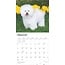 Calendario Bichon Frise 2025