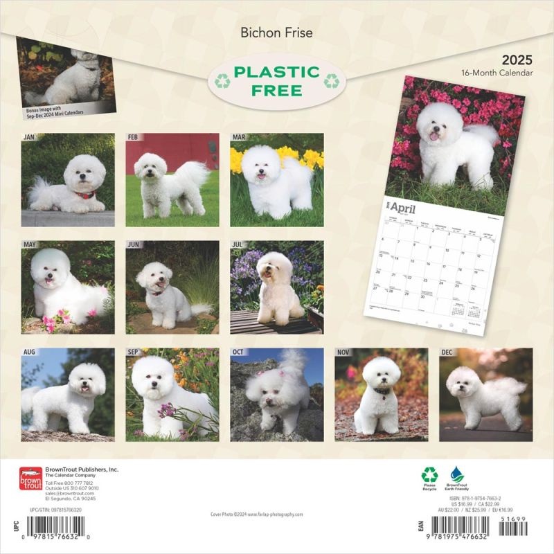 Buying Bichon Frise Calendar 2025 order online easily Kalenderwinkel.nl