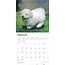 Calendario dei cuccioli di Bichon Frise 2025