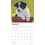 Calendario Border Collie 2025