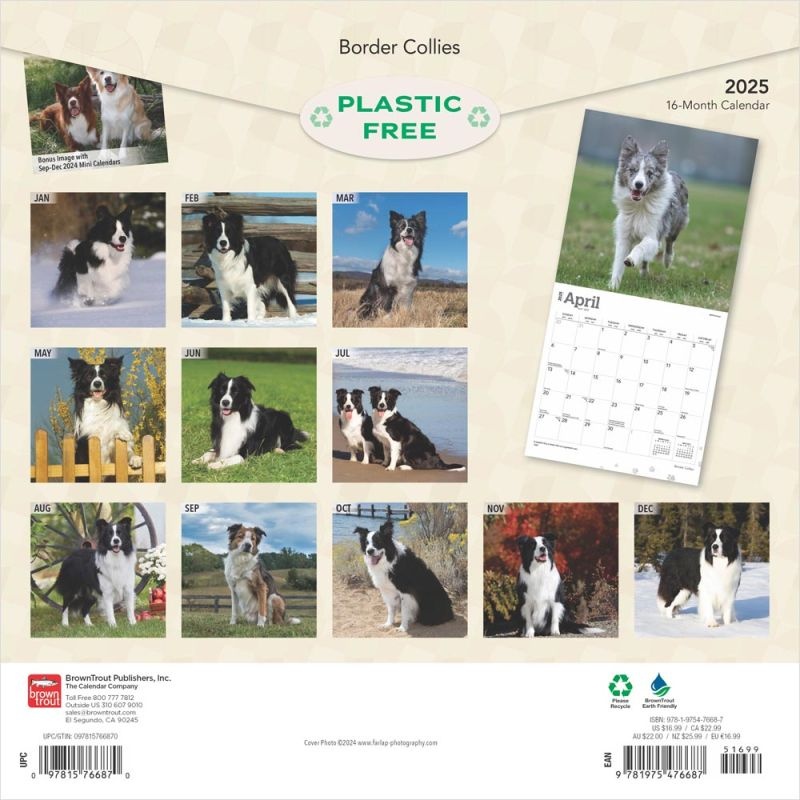 Border Collie Calendar 2025 Buy order online easily Kalenderwinkel.nl
