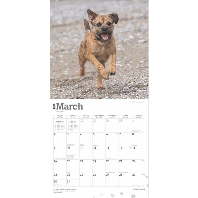 Buy Border Terrier Calendar 2025? Order easily and quickly online