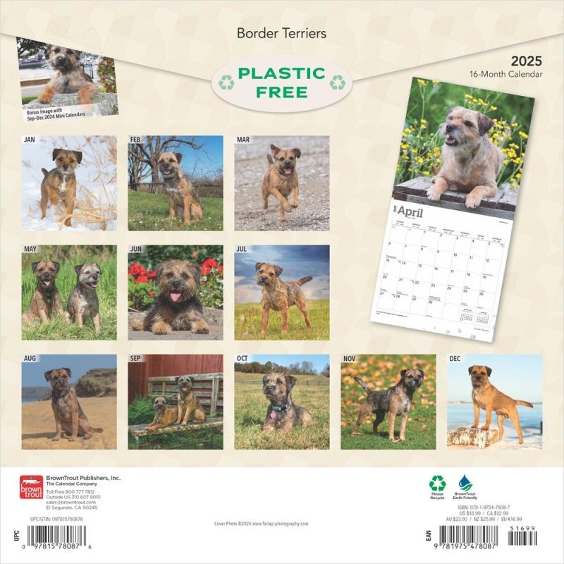 Buy Border Terrier Calendar 2025? Order easily and quickly online