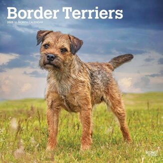 Browntrout Border Terrier Calendar 2025