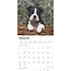 Calendario dei cuccioli di Boston Terrier 2025