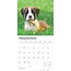 Calendario Cachorros Boxer 2025