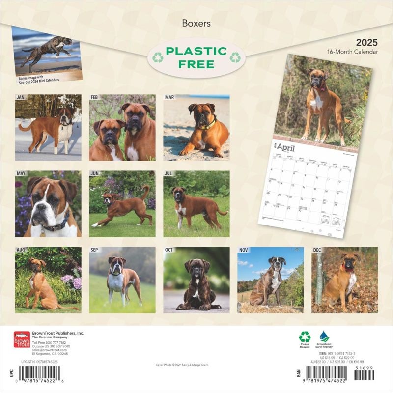 Boxer Calendar 2025 Buy with beautiful pictures of the Boxer